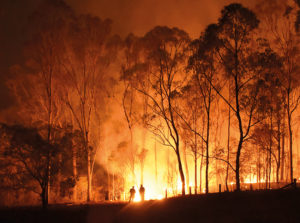 Bushfire