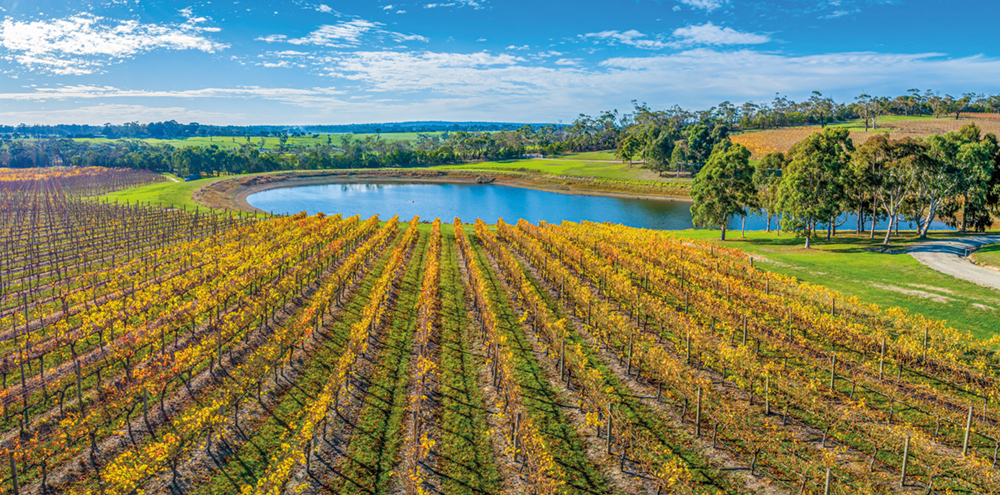Stunning winery and pond in autumn. Mornington Peninsula, Australia