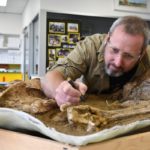 Expert fossil technician earns national award