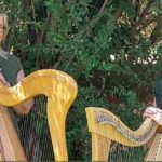 Harping on the beauty of Celtic songs