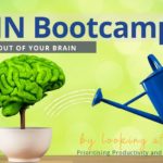 Optimise your brain with new bootcamp