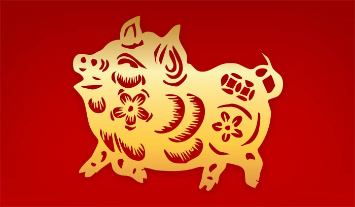 Chinese New Year - 2019 Year of the Pig