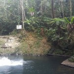Colo-i-Suva waterfall and swimming hole