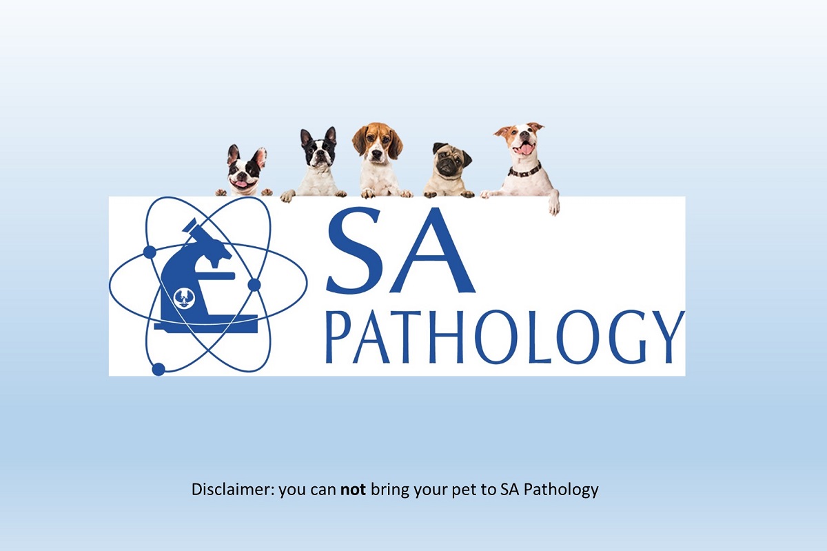 SA Pathology
